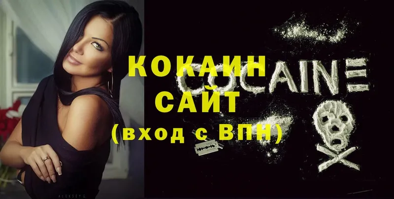 ссылка на мегу зеркало  Александров  COCAIN Fish Scale  купить наркотики сайты 