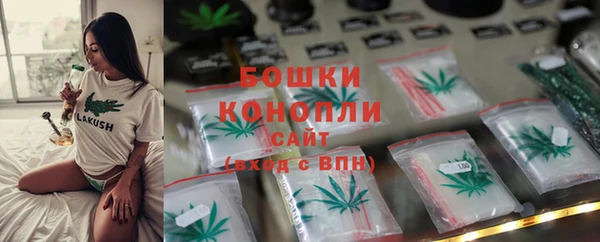 ГАЛЛЮЦИНОГЕННЫЕ ГРИБЫ Остров