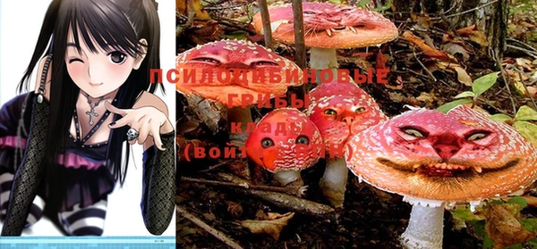 ECSTASY Осташков