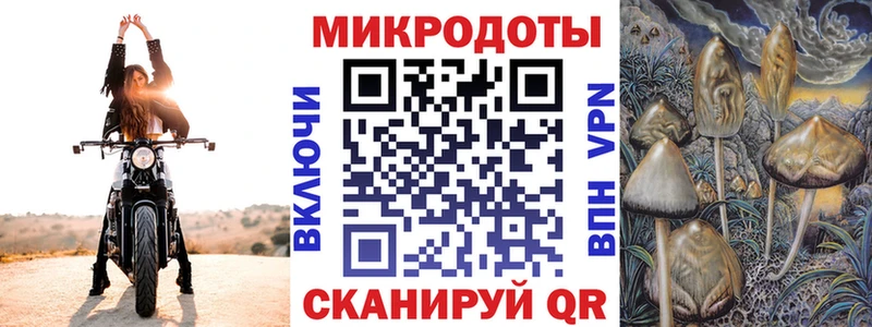 хочу   Александров  Галлюциногенные грибы мицелий 