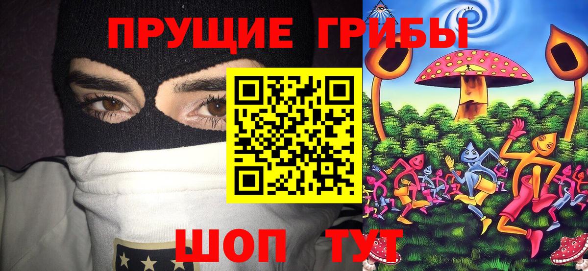Галлюциногенные грибы прущие грибы  Вход с VPN  Александров 