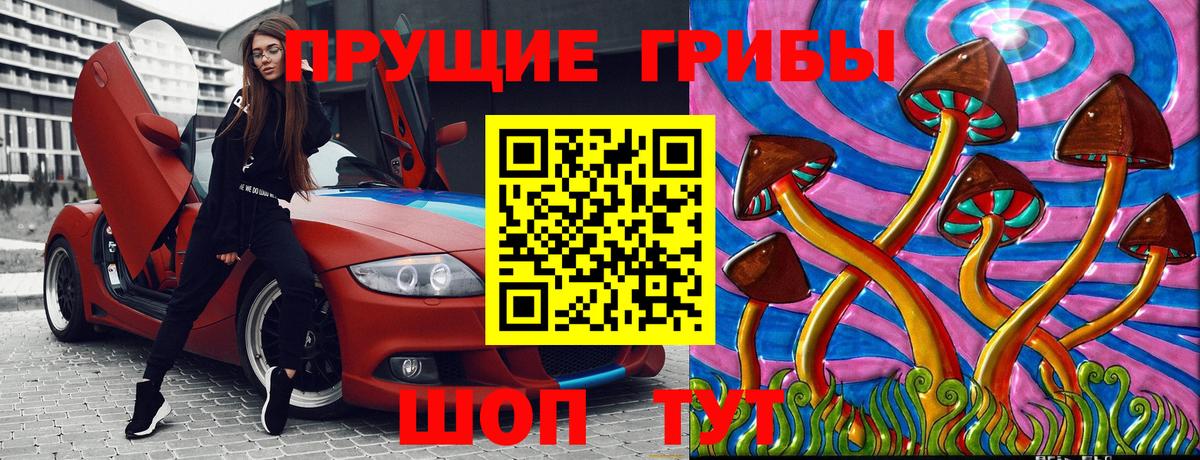 Галлюциногенные грибы Psilocybine cubensis Александров