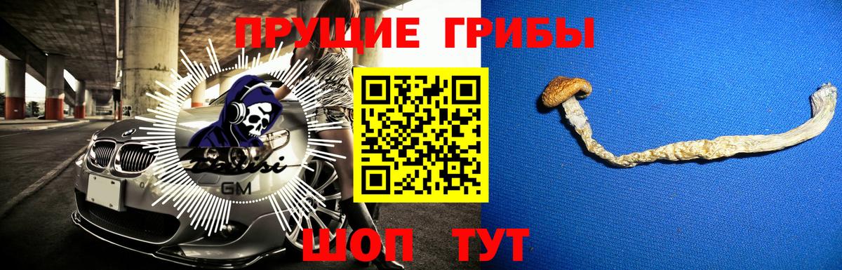 Псилоцибиновые грибы MAGIC MUSHROOMS  Галлюциногенные грибы прущие грибы  Вход с VPN  Александров 